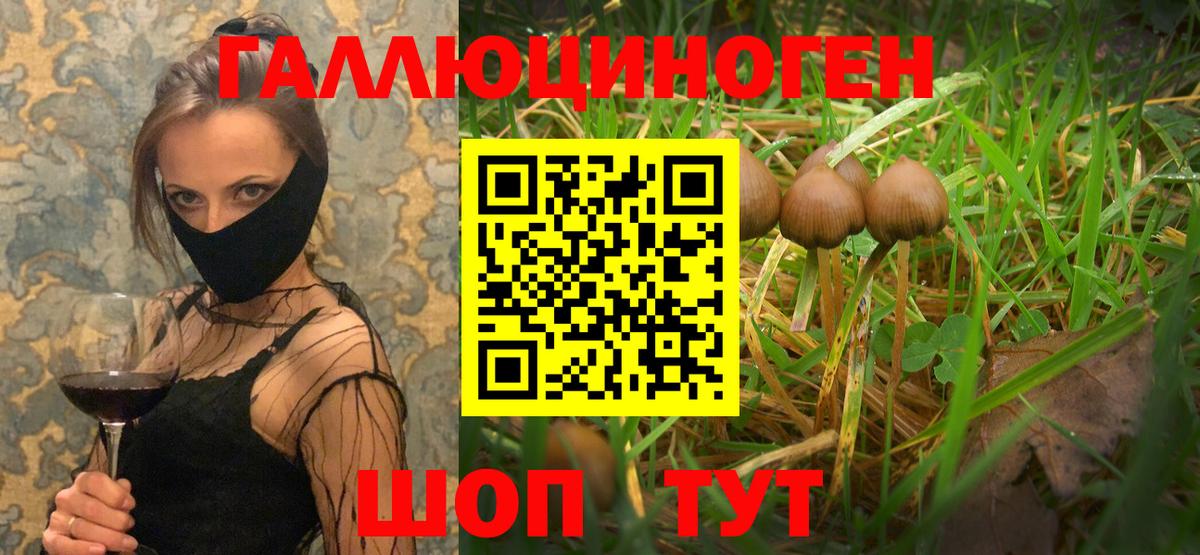 Ишим  Псилоцибиновые грибы Magic Shrooms  Вход с VPN 